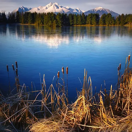 Lägenhet Luxus Pod Hradom